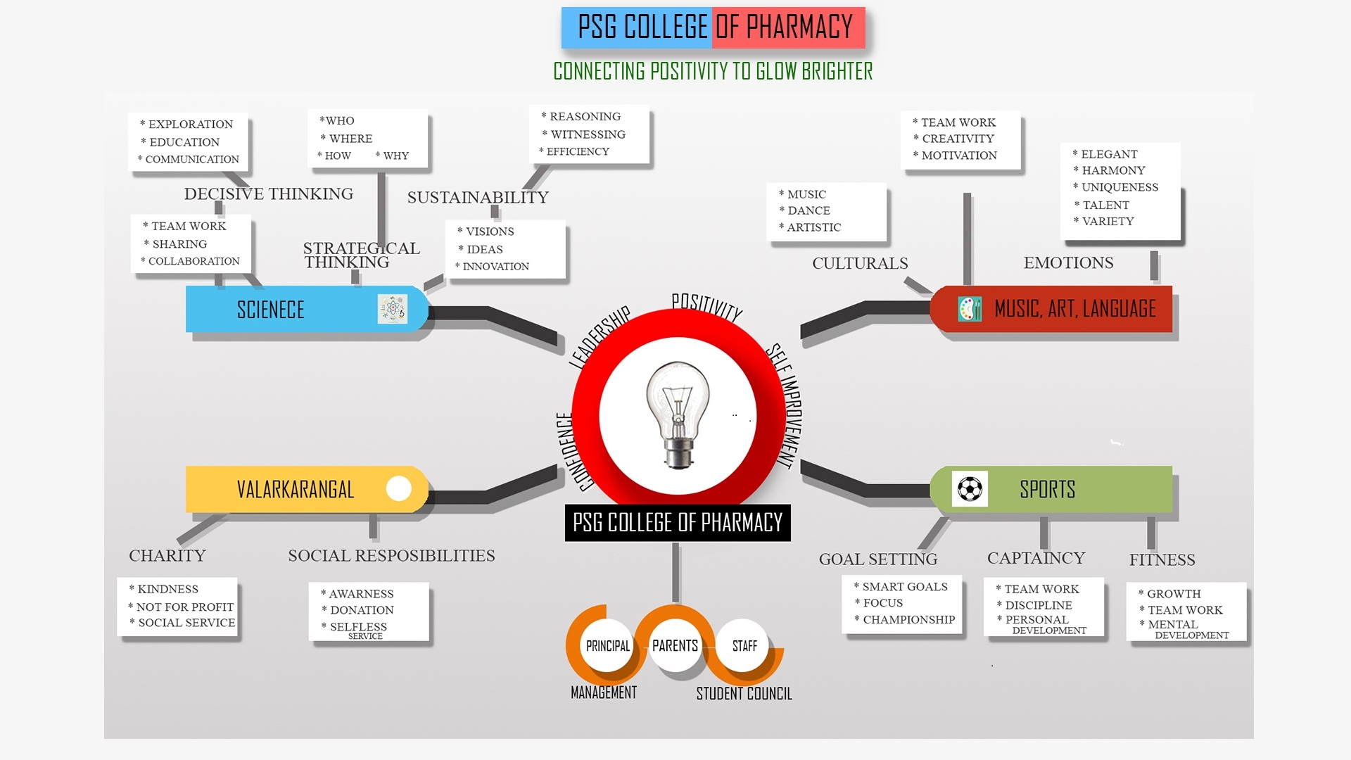 organisational-chart